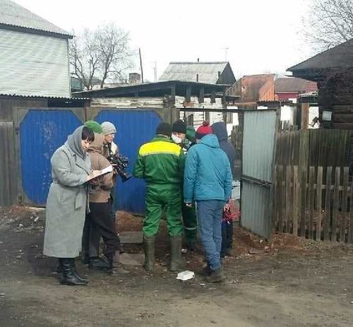 Мэрия Кызыла наказала владельцев беспризорных собак