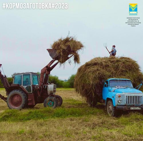 Владислав Ховалыг: В этом году темпы кормозаготовок почти в два раза выше прошлогодних