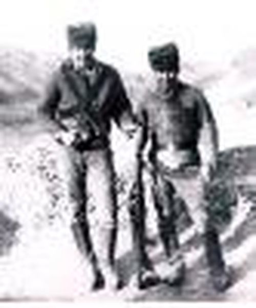 Тюльпан из Орлиного гнезда