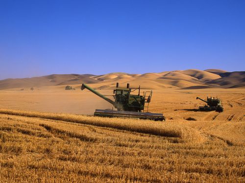 Чидиригден камгалал