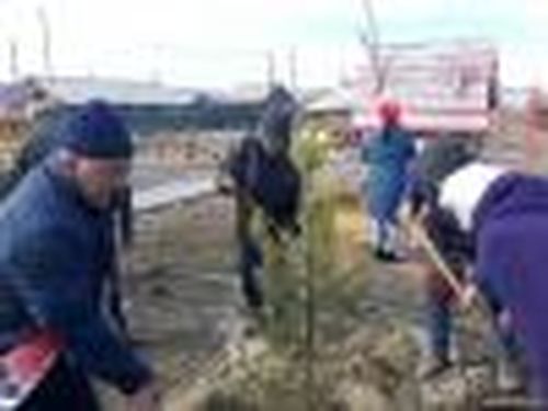 К 100-летию комсомола — 100 деревьев