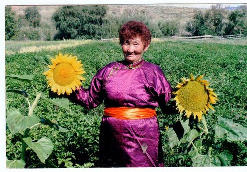 «Шыным»-биле харылзаам үзүлбээн