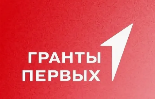 Два проекта из Тувы поддержаны грантами «Движения первых»