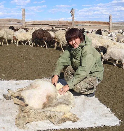 Кызыл-Тайга сумузунуң дуржулгалыг кыргыкчызы – Саяна Ондар