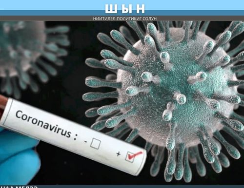 СӨӨЛГҮ ХОНУКТА 170 КИЖИ ААРААН