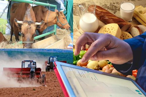 «АГРОСТАРТАП» - САЙЗЫРАЛГА ДЕТКИМЧЕ