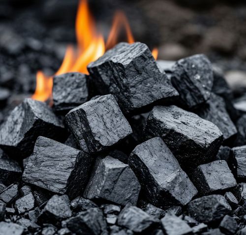 Более 3,8 тысячи семей в Туве получат уголь и дрова по губернаторскому проекту