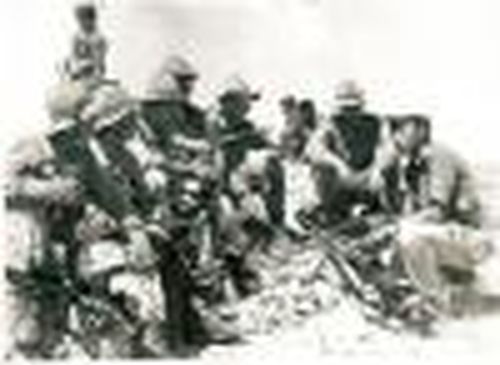 Три брата и одна война