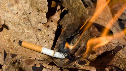 Пожар из-за сигареты. Виновников обнаружили