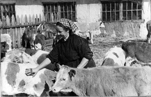 КОЛХОЗ С ИМЕНЕМ ГАЗЕТЫ