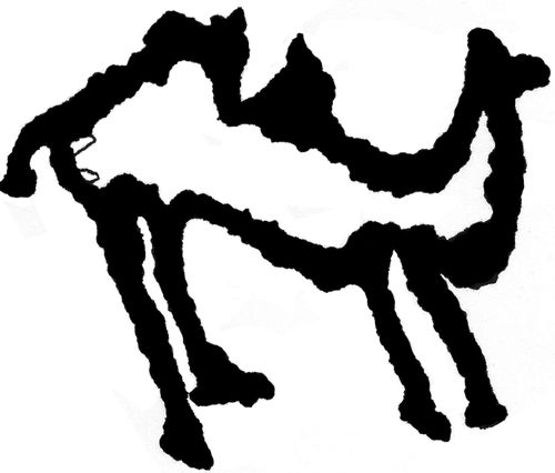 Верблюды в Туве водились всегда