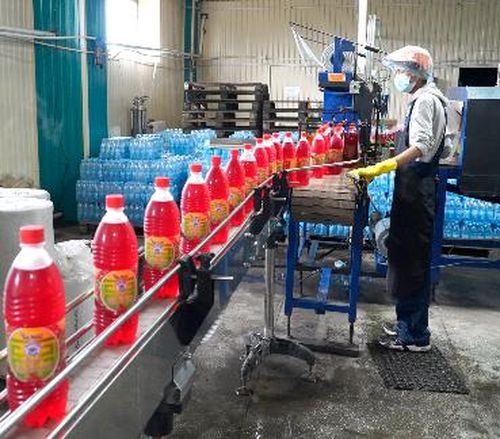 Предприниматели Тувы получили более 21 млн рублей субсидий на развитие бизнеса