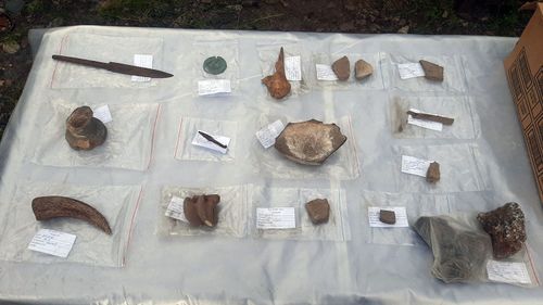 Вестники из прошлого.  В ТИГПИ подвели итоги полевого сезона