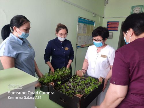 К 100-летию ТНР - 250 цветочных рассад