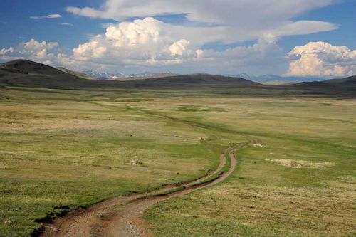 Землетрясение магнитудой 3,1 зафиксировано в Туве 