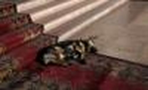 Среди кого живём?