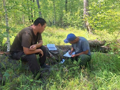 Госинспекторами Тувы составлено 13 протоколов за нарушения природоохранного законодательства