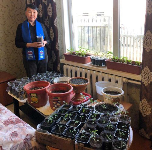 Рассада и семена: депутаты Тувы помогают жителям в посадке овощей