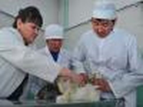 На что жалуешься, косой?