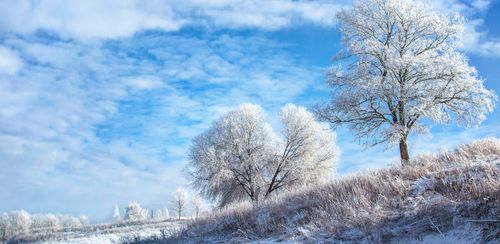 В Туве ночью ожидается похолодание до -39°