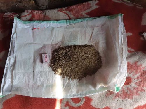 В Туве на чабанской стоянке нашли «наркоту»