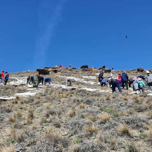 Народная инициатива в благое дело