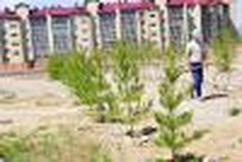 Жить будем красиво