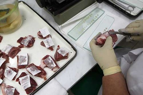 В Туве завели уголовное дело на продавца за продажу мяса, зараженного сибирской язвой