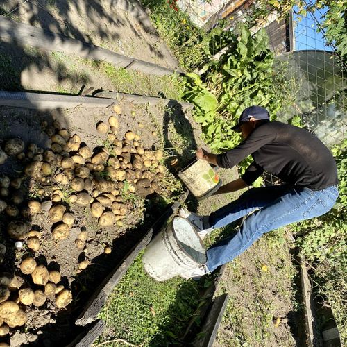 «Добрые сердца Тувы» помогли жителю блокадного Ленинграда выкопать картофель