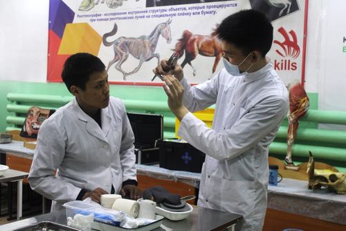 Федералдыг төлевилел-биле 490 тускай мергежилдигни өөредип белеткээр