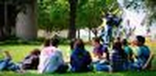 Симпатии и антипатии кызылчан