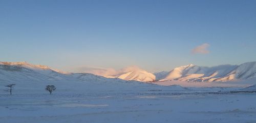 Как получить разрешение на использование слов «Тыва», «Тува»