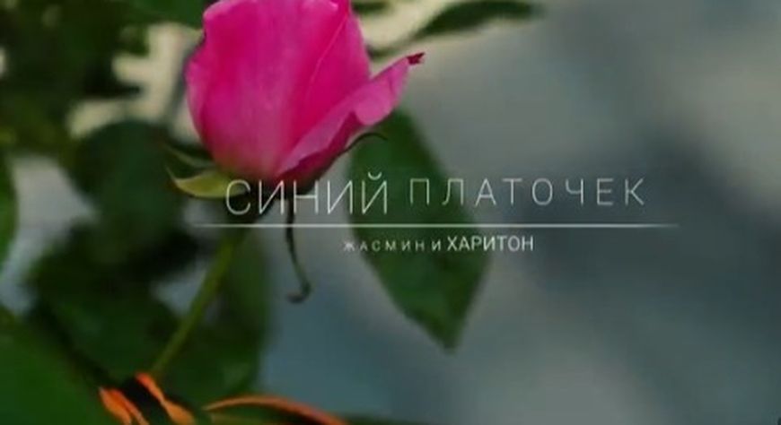 В России запустили масштабный танцевальный флешмоб «Эхо Побед»