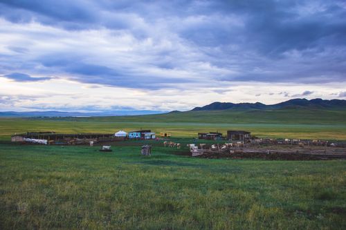 Грант «Агростартапа» получили 43 фермера и 2 кооператива Тувы