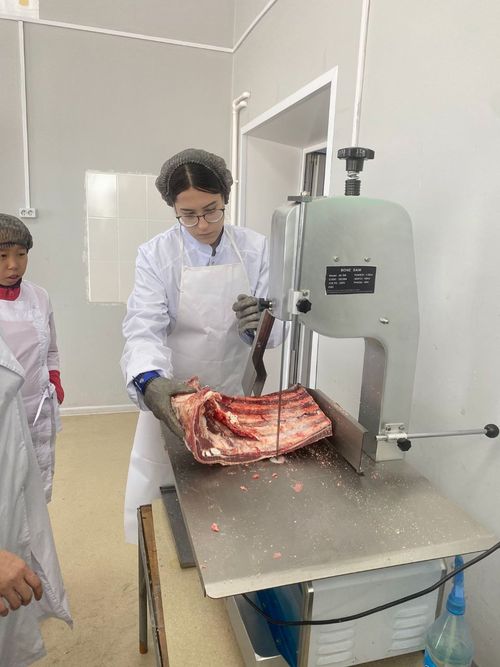 Практика на практике для студентов Тувинского агропромышленного техникума