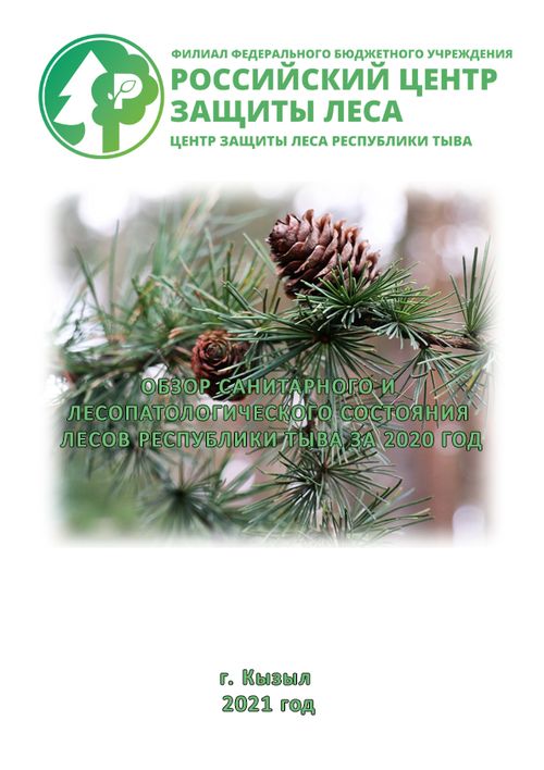 Центр защиты леса Республики Тыва подготовил санитарный обзор за 2020 год