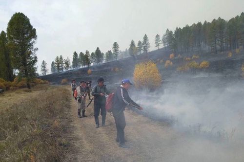 Онза байдал чурумун соксаткан