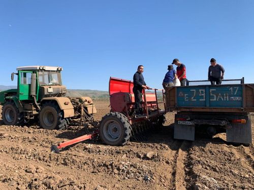 Студентилер часкы хову ажылдарында