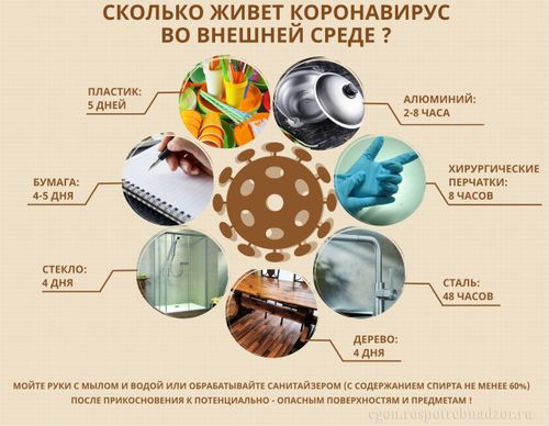 Прибывшие из других регионов могут не проходить тест на COVID-19