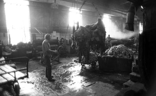 Кылбас-тутпас чүвези чок даайым