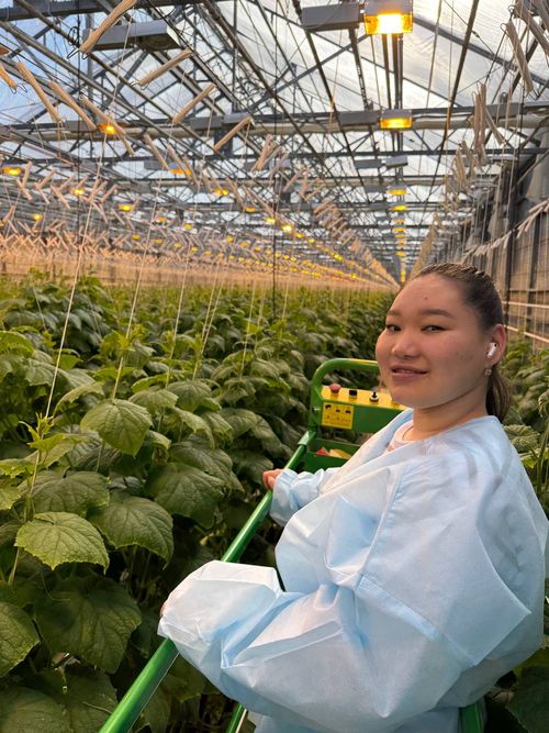 Эртем-билигге сундулуг агрохимик кыс