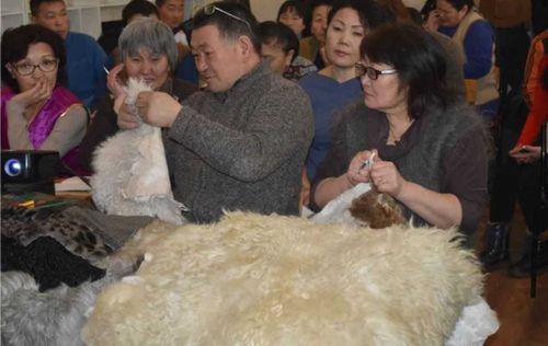 В Туве создадут "Сеть учебных производств" по выделке шкур