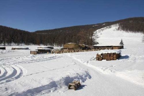 В Туве владельцы трех чабанских стоянок незаконно потребляли электроэнергию
