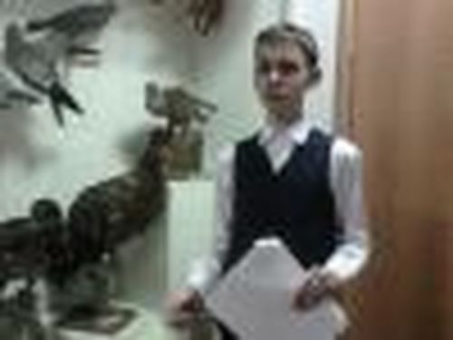 Музей и дети