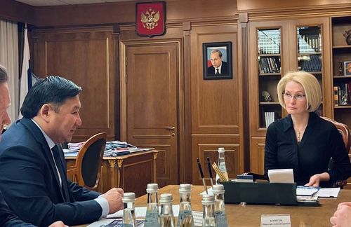 Глава Тувы Владислав Ховалыг встретился с вице-премьером Викторией Абрамченко