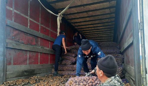 Проект «Народный картофель» переименован в «Картофель – в каждый дом»