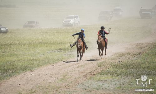 Во время конных скачек движение на определенных участках дорог республики будет временно ограничено