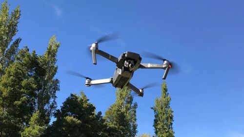 Минлесхоз Тувы в рамках нацпроекта закупит беспилотники для патрулирования лесов