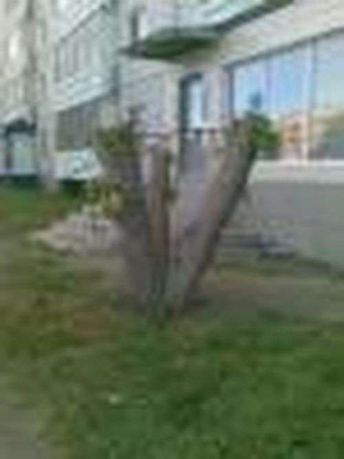 Благоустройство по-новому?