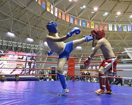 Министерство спорта России присвоило звания «Мастер спорта» спортсменам из Тувы